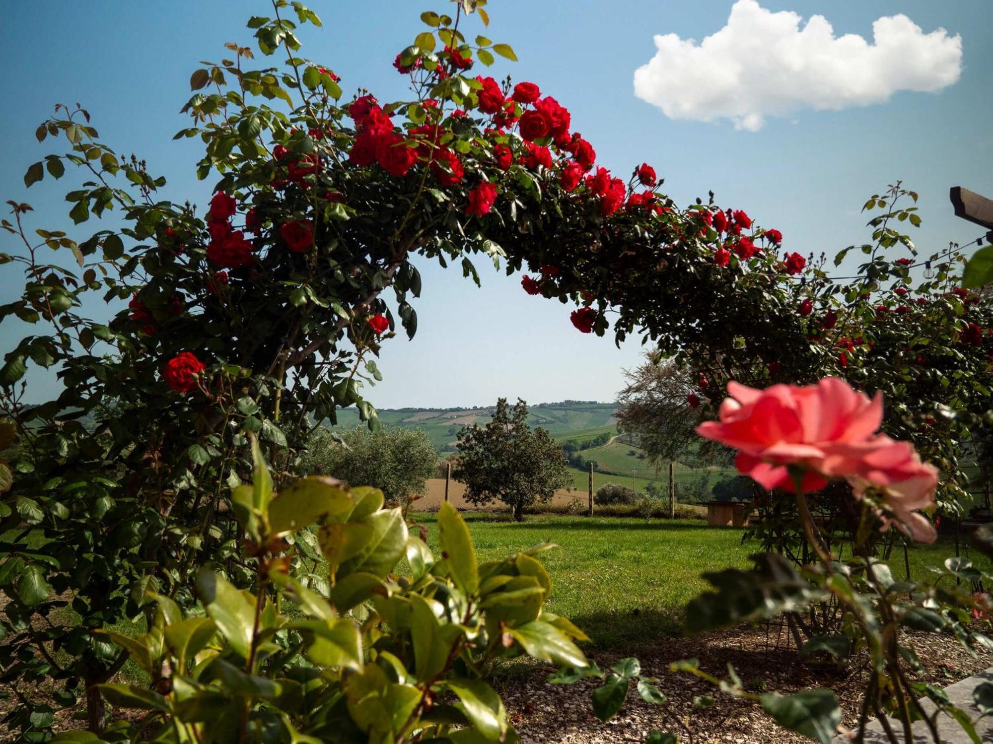 ليسي B&B Aesis La Dolce Collina المظهر الخارجي الصورة