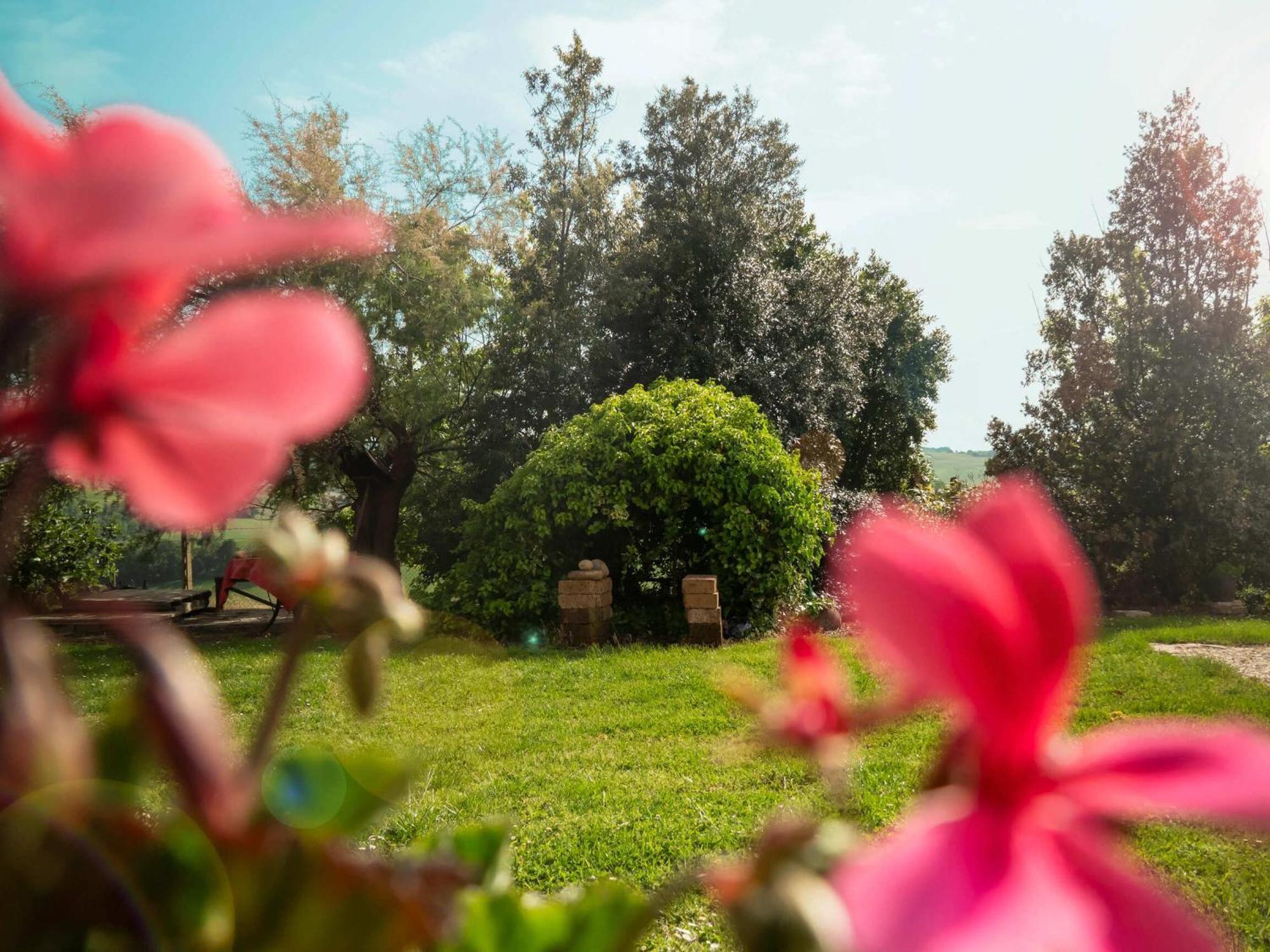 ليسي B&B Aesis La Dolce Collina المظهر الخارجي الصورة