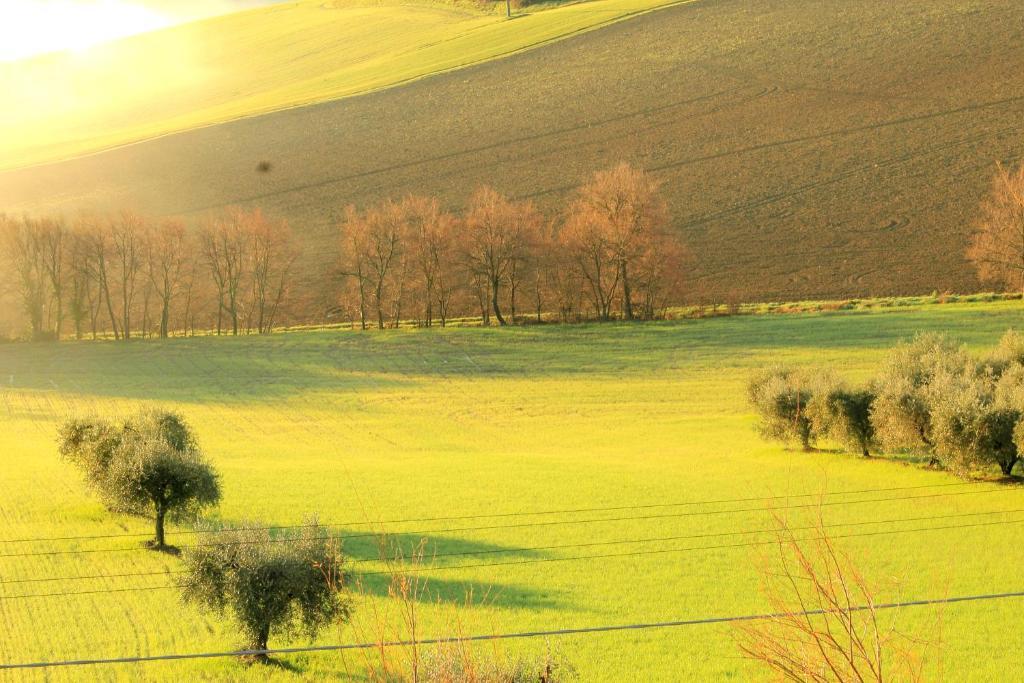 ليسي B&B Aesis La Dolce Collina المظهر الخارجي الصورة